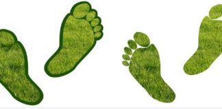 탄소중립 사회를 향한 그린뉴딜 첫걸음