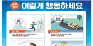 태풍 호우 이렇게 대처하세요