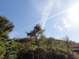 가을 등산, 안전수칙 준수로 안전산행 하세요!