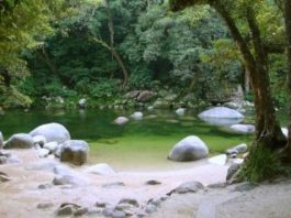 재해취약지역 중심의 풍수해 보험가입 촉진계획 수립 의무화된다