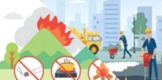 봄철 국민 안전을 위해 산불‧해빙기 총력 대응한다